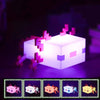 MineCraft Axolotl Lamp